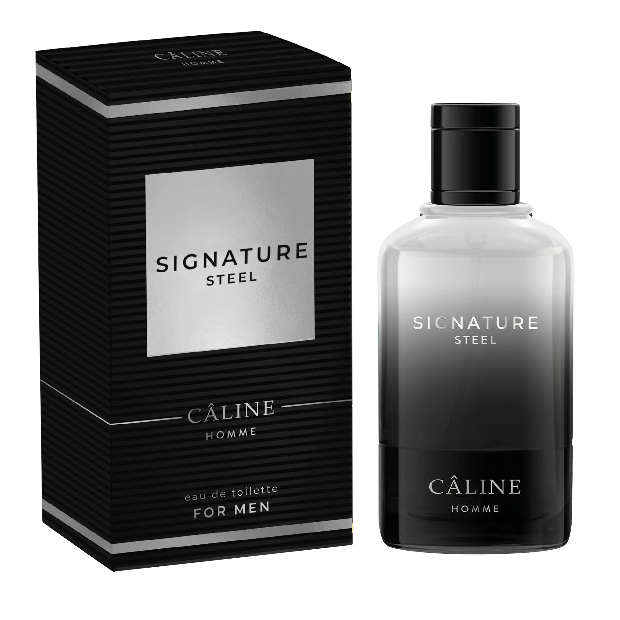 Signature Steel Eau de Toilette